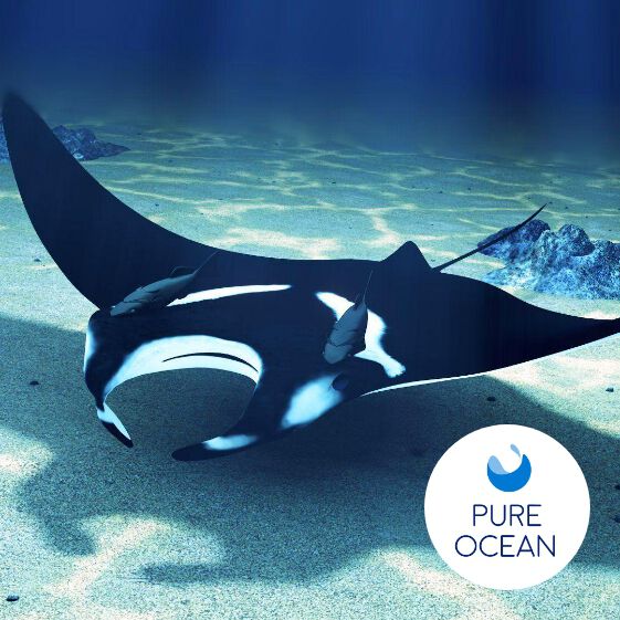 Imagen de la raya Pure Ocean y Crosscall